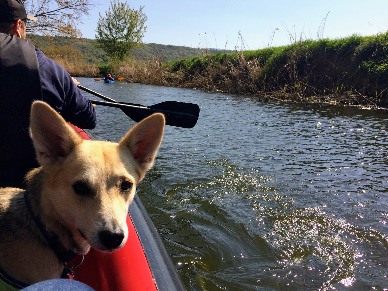 Hund im Schlauchboot auf der Unstrut – Fluss & Zeit